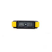 Load image into Gallery viewer, Lion Prowler