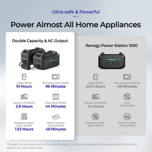 Load image into Gallery viewer, PHOENIX 1000 Portable Power Station