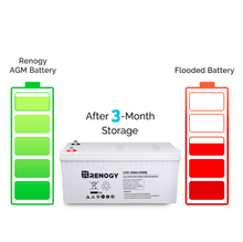 Load image into Gallery viewer, Renogy Deep Cycle AGM Battery 12 Volt 200Ah | RNG-BATT-AGM12-200