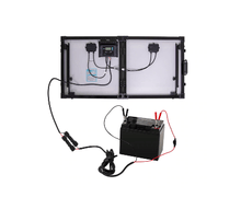 Load image into Gallery viewer, RENOGY MC4 to Alligator Clips 14 AWG Cable